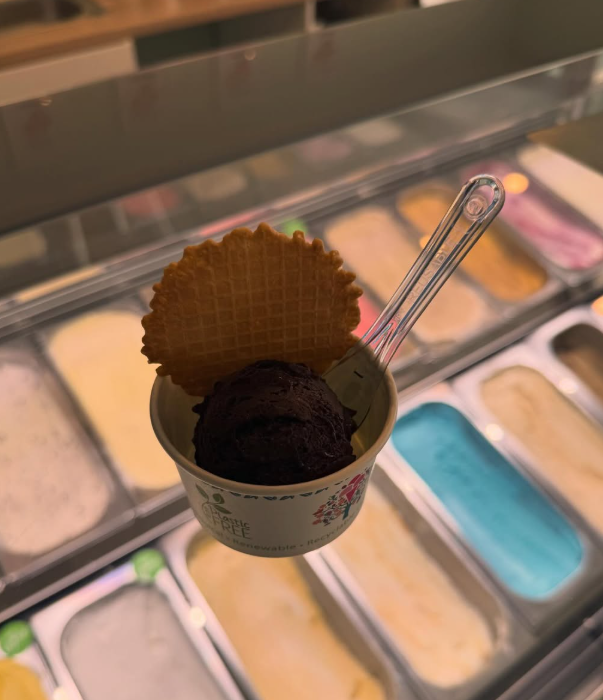 Leckeres Schokoladeneis im Waffelkegel